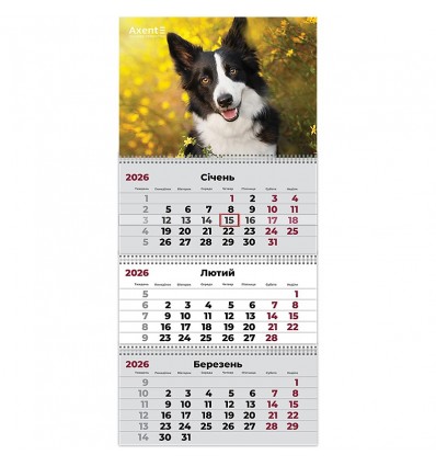 Календарь настенный квартальный 8803-26-18-A, 2026 г.,3 пр. Dogs 3
