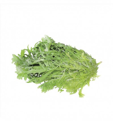 Салат фрізе кг