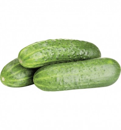 Огірок грунтовий кг