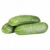 Огірок грунтовий кг