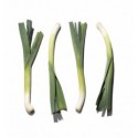 Лук порей мини 200г