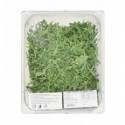 Салат Metro Chef рукола митий 500г
