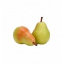 Груша Украина
