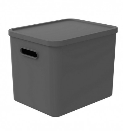 Ящик Albula для зберігання з кришкою 27л