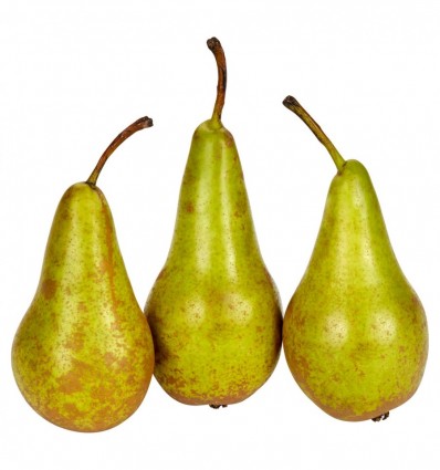 Груша Конференція кг