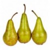 Груша Конференция кг