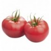 Томат рожевий кг