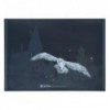 Папка на кнопке Kite Harry Potter HP25-244-2, А4