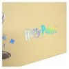 Папка на кнопці Kite Harry Potter HP25-245, A5