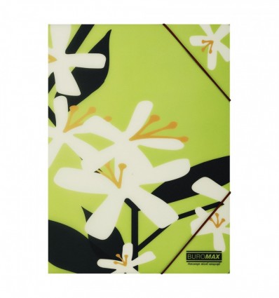 Папка А4 на резинках, PLUMERIA ARABESKI, полупрозрачная, салатовая, BM.3908-15