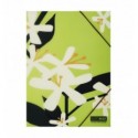 Папка А4 на резинках, PLUMERIA ARABESKI, полупрозрачная, салатовая, BM.3908-15