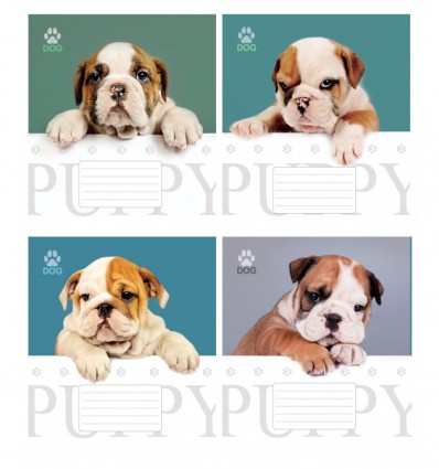 Зошит 12л. (клітинка), 3595к, Мрії збуваються, ТА5.1211.3595к