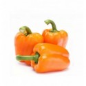 Перец Metro Chef Оранжевый Кг