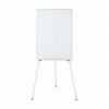 Фліпчарт магнітний сухостир. BM.0009, 70 х100 cм, на тренозі, вертикальний, ал.рамка