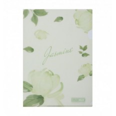 Папка-уголок ARABESKI, А4, непрозрачный матовый, пластик, мятный