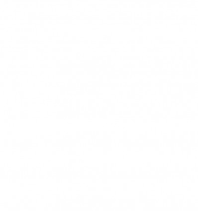 Аэрозоль полироль для мебели Domo 250мл с воском