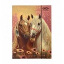 Папка для праці та зошитів HORSES, картонна, на гумці А4 (225x316мм), KIDS Line