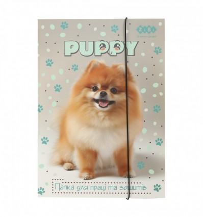 Папка для работы и тетрадей DOG, картонная, на резинке А4 (225x316мм), KIDS Line