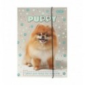 Папка для праці та зошитів DOG, картонна, на гумці А4 (225x316мм), KIDS Line