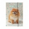 Папка для праці та зошитів DOG, картонна, на гумці А4 (225x316мм), KIDS Line