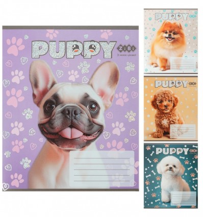 Тетрадь ученическая школьная DOGS, 12 л., коса, KIDS LINE