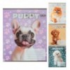 Зошит учнівський шкільний DOGS, 12 арк., коса, KIDS LINE