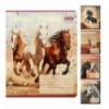Тетрадь ученическая школьная HORSES, 24л., линия, KIDS LINE