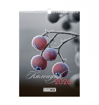 Календарь настенный 2026 г., А3, 1 пружина, Emphasis on color, BM.210602