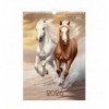 Календар настінний 2026 р., А3, 1 пружина, Horses, BM.210601