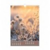 Календар настінний 2026 р., А3, 1 пружина, Wild flowers, BM.210605