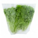 Салат Фризе свежий кг