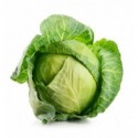 Капуста молодая кг