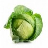 Капуста молода кг