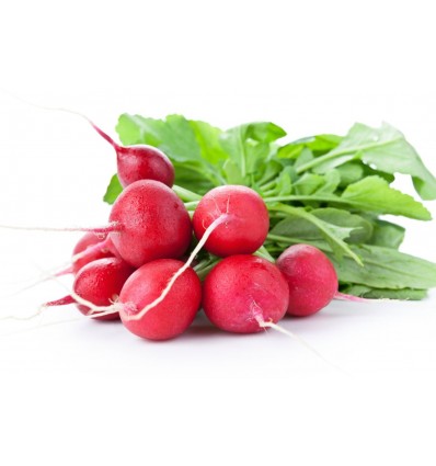Редис пучок шт