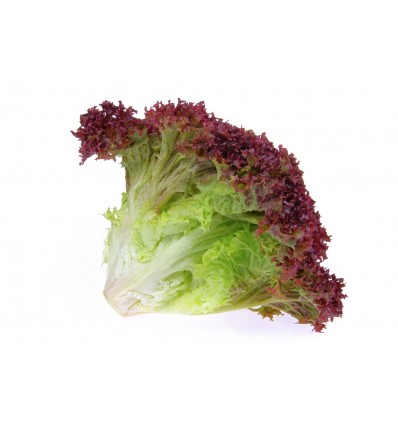 Салат Лоло Россо кг