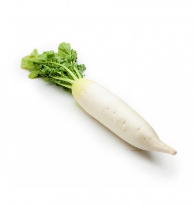 Редька дайкон кг