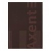 Книга записна Axent One color 8426-2-A, А4- 203*273 мм, 96 аркушів, клітинка, бордовий