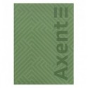 Книга записна Axent Pattern 8425-1-A, А4- 203*273 мм, 96 аркушів, клітинка, зелена