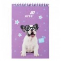 Блокнот на спирали Kite Studio Pets SP26-196, А6, 48 листов, нелинированный
