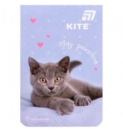 Блокнот Kite Rachael Hale R26-224, 48 аркушів, клітинка