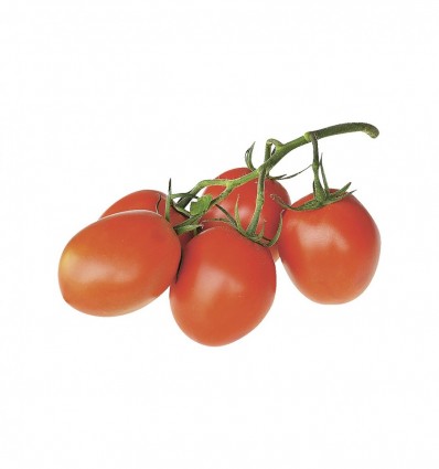 Томат сливка кг