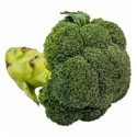 Брокколи кг
