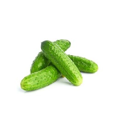 ОГУРЕЦ ЭСТАФЕТА КГ