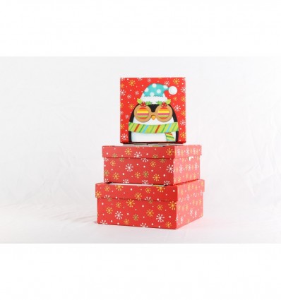 Коробки подарочные, набор 3шт, вложенные 1в1 - размер самой большой 20х20х9.5см, с 3D изображением B