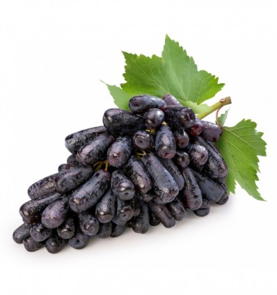 Слива желтая Сан Суприм