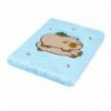 Блокнот плюшевый CAPYBARA 24, А5, 80 л., ячейка, ассорти, KIDS Line, ZB.700045