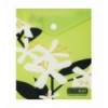 Папка конверт А6 на кнопке, PLUMERIA ARABESKI, полупрозрачная, салатовая, BM.3922-15