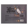 Тетрадь для нот Kite Harry Potter, А5, 20 листов
