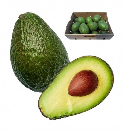 Авокадо 1шт