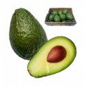 Авокадо 1шт